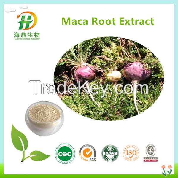 Maca Powder Extract/Maca Powder Extract 4:1 10:1/Pure Maca Powder Extract