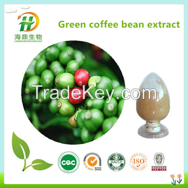High Quality Green Coffee Bean Extract