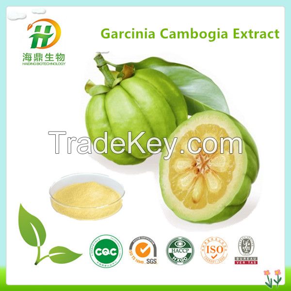 Garcinia Cambogia Fruit Extract