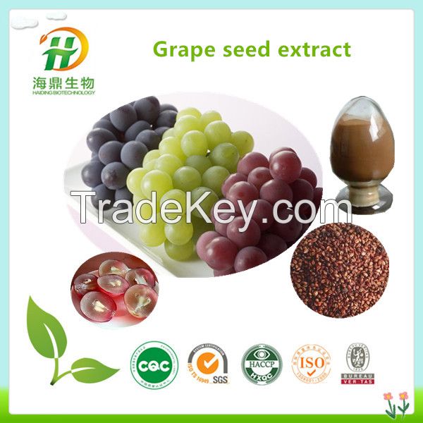 100% Natural Grape Seed Extract, opc 95%, ,Grape Seed powder 