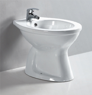 Bidet Toilet