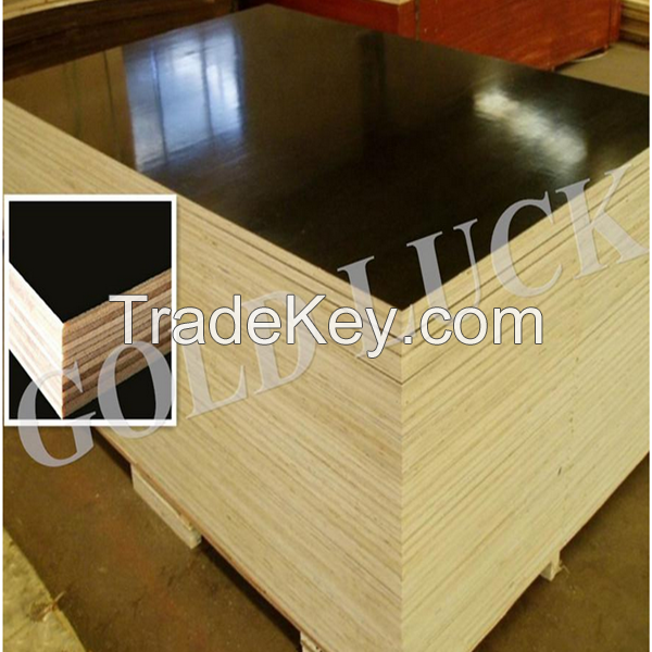 Construction formwork plywood Wholesale