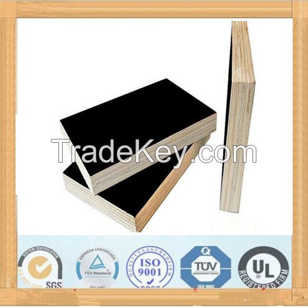21mm 18mm 15mm 12mm marine plywood for sale