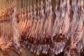 halal frozen goat meat