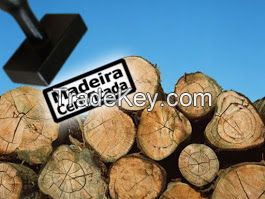 Brazilian logs, round or sawn