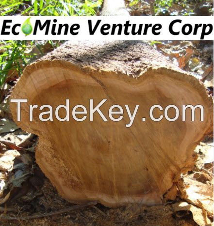 Brazilian logs, round or sawn