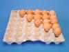 Egg Tray