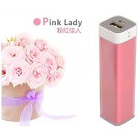 Pink Lady Power Bank