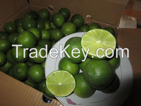  Seedless Lime