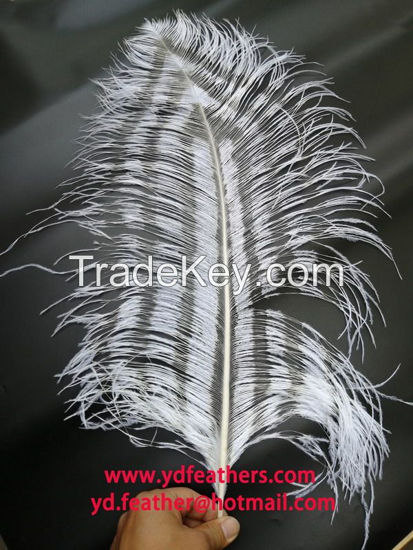 Burnt Ostrich Feather (spaced effect) From China