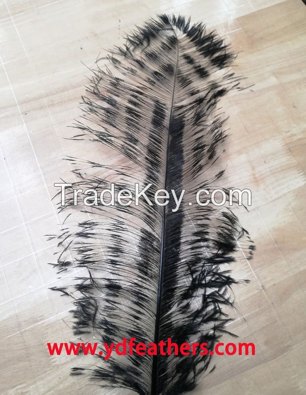 Burnt Ostrich Feather (spaced effect) From China