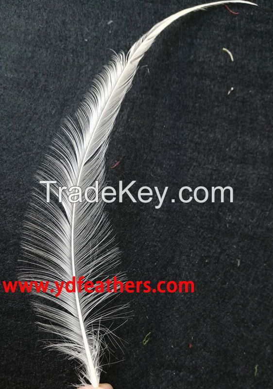 Burnt Coque/Rooster/Cock Tail Feather From China