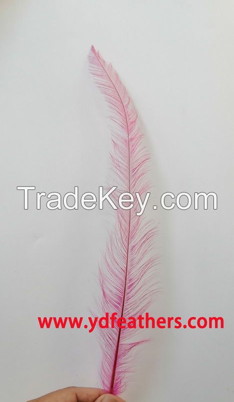 Burnt Rooster/coque/cock Tail Feather From China