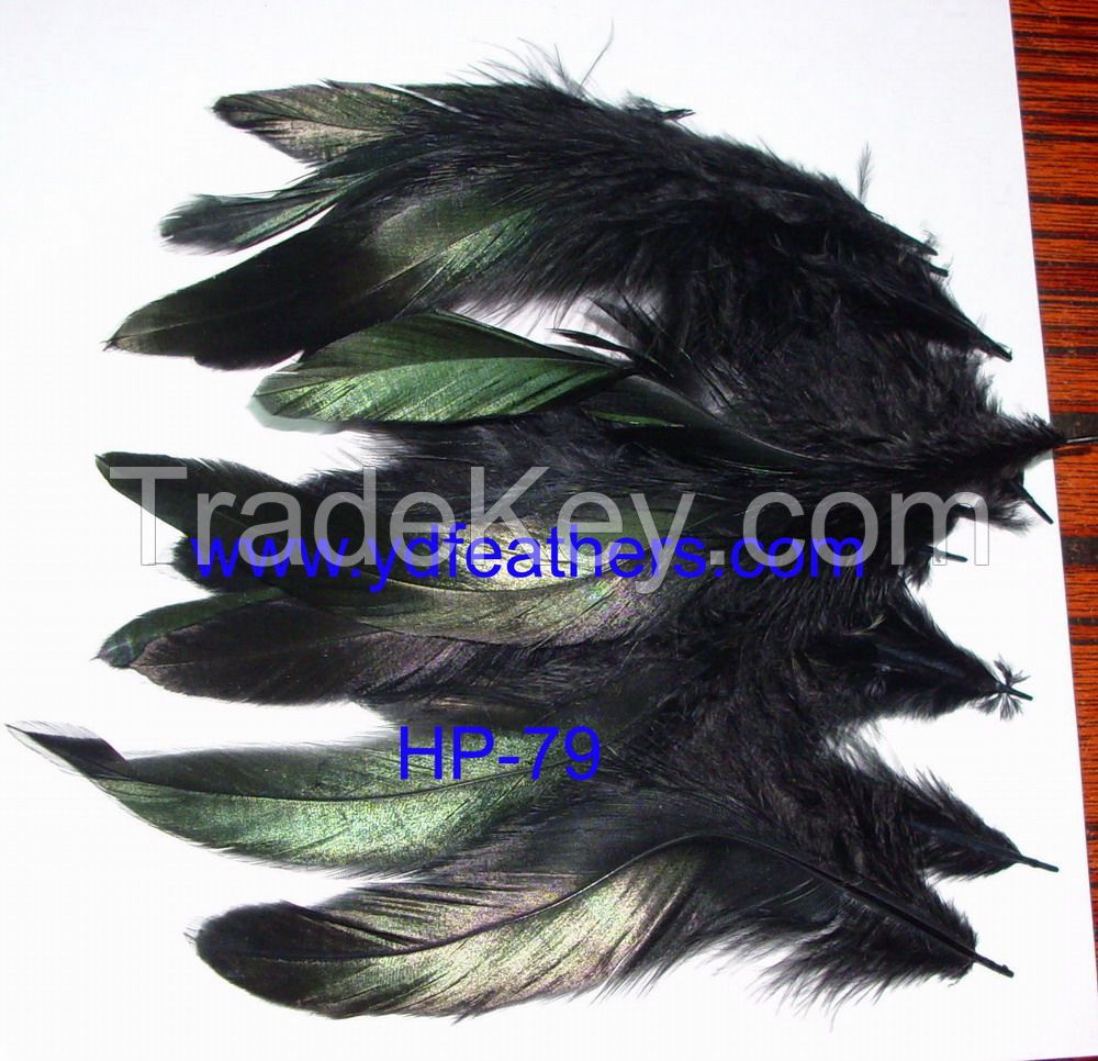 Rooster/coque/cock Schlappens Feather From China