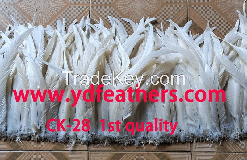 Bleached Black Rooster/Coque/Cock Tail Feather for Wholesale