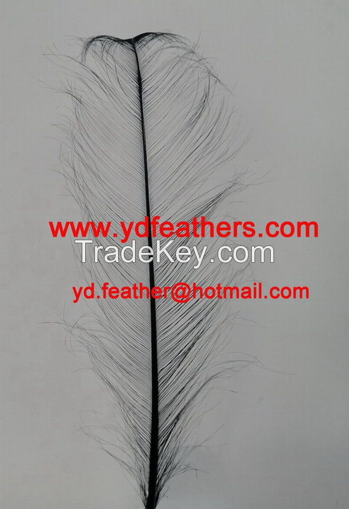 Burnt Ostrich Feather/Plume Dyed Black From China
