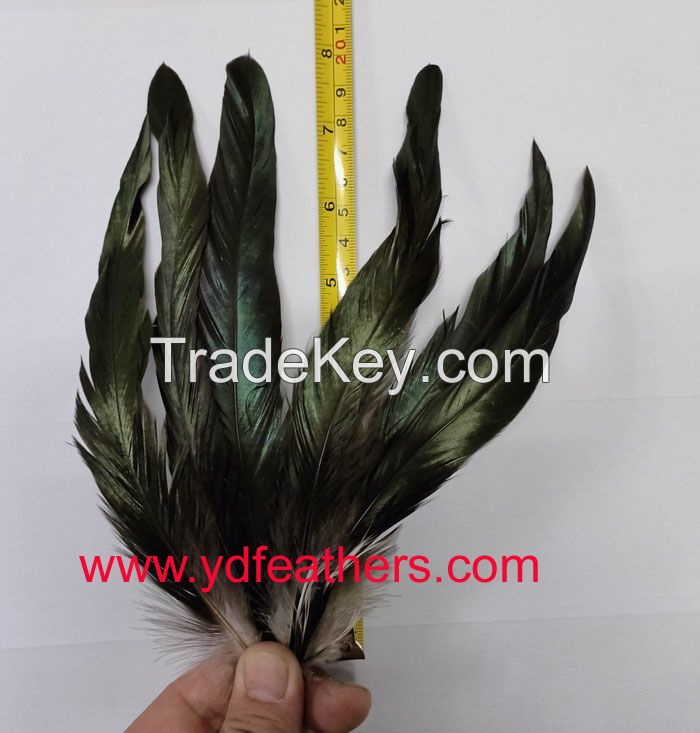 rooster/coque/cock tail feather from China