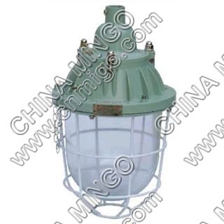 explosion proof light