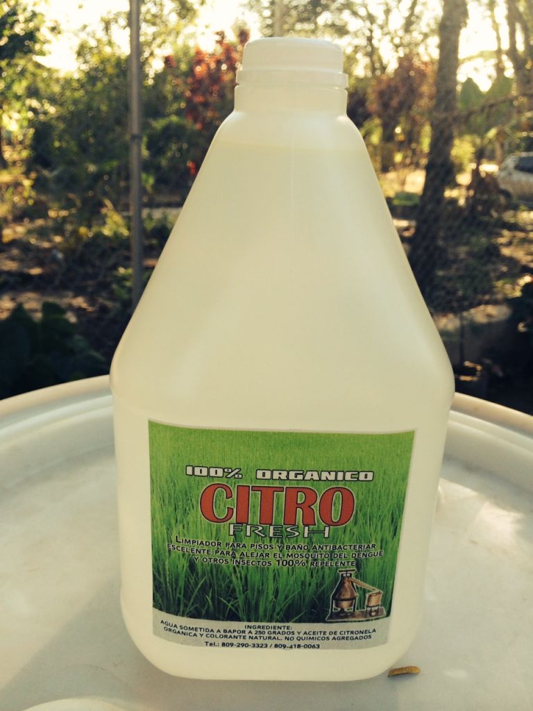 Organic Citronella Oil