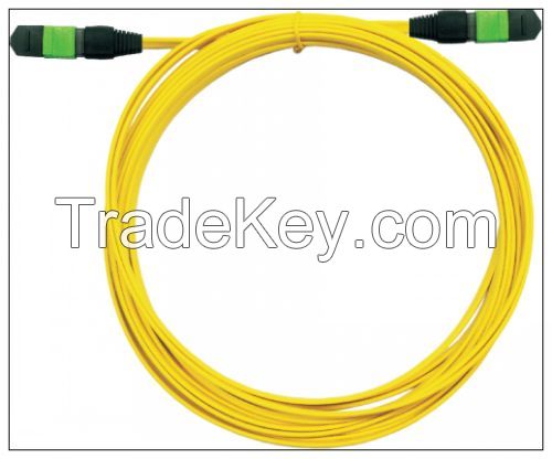 Patchcord MPO