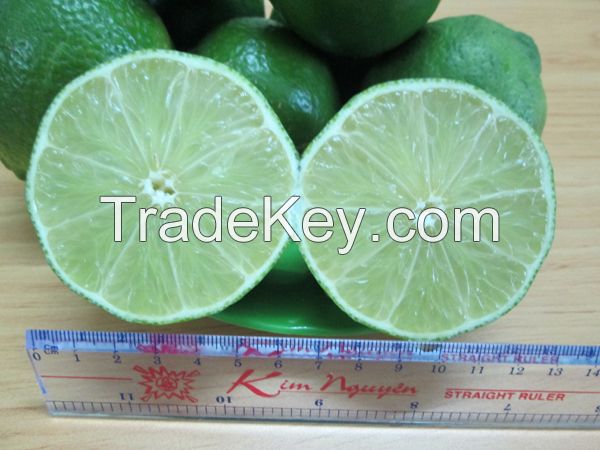 Fresh Seedless Lime from Viet Nam