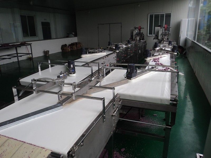 LST-LL Chocolate (Lump) Separating Machine pillow type packaging machine