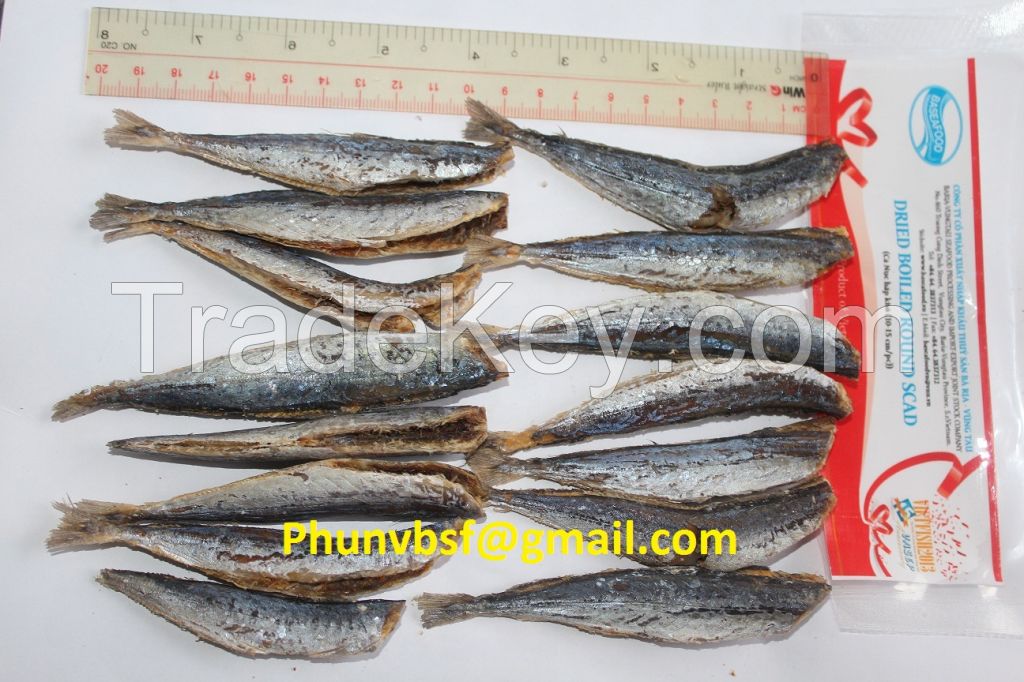 Dried round scad fillet and  headless
