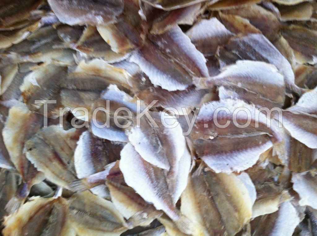 Dried croaker fillet and  headless