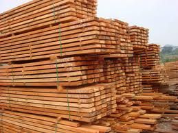 Millettia/Panga-Panga, WengeIroko, Okoume, Sapele,PadoukTimber logs and sawn timber