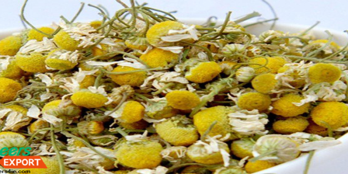 Chamomile