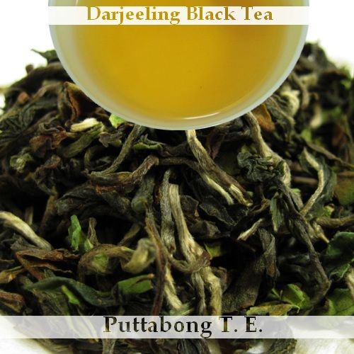 Darjeeling first flush tea 2014, Puttabong
