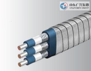 Submersible Connection of Cable  QYJYEQ(XÃ£ï¿½ï¿½M