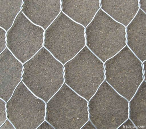 hexagonal wire mesh