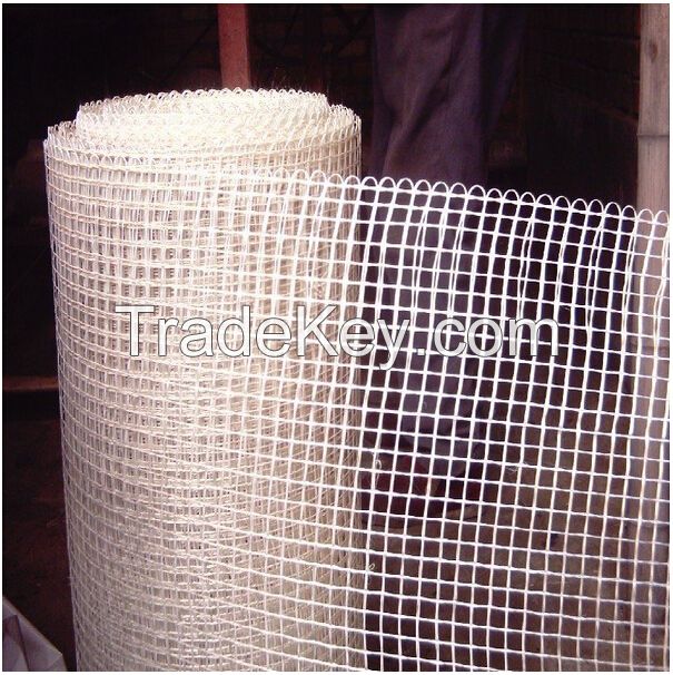China fiberglass mesh with high quality