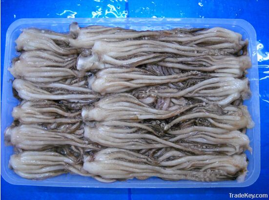 frozen squid good quality