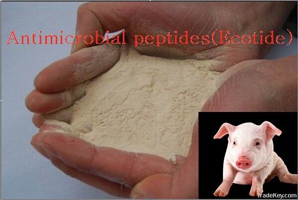 Antimicrobial Peptides(Ecotide)/pig feed additives/Animal poultry hea