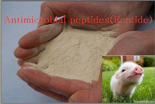 Antimicrobial Peptides(Ecotide)/piglet feed additives/Animal poultry h