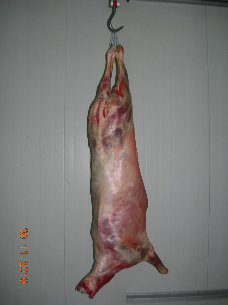 halal mutton meat