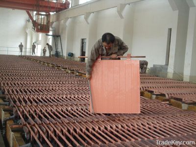 SGS Bureau Veritas cetified Copper Cathodes