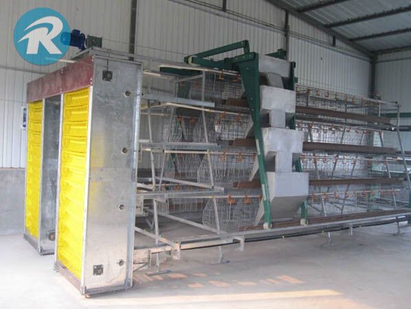 A frame layer cage, laying hens battery cage, egg gathering cage