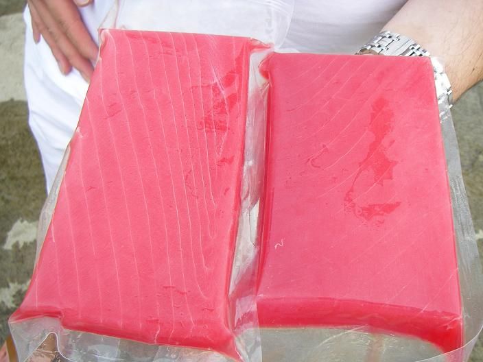 Tuna Saku - Yellowfin Tuna (Thunnus Albacares)