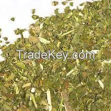 Rolling herbs factory supply Indian Golden taro leaves Golden Australia approved herb best price Alternative bulk Herbal blends