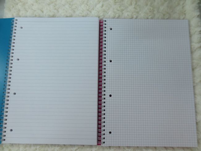 A4 PP spiral notebook