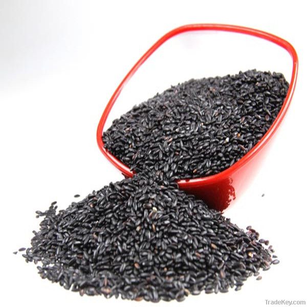 100% natural black rice extract proanthocyanidins 5%