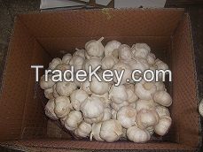 Fresh Normal White Garlic from China ( 10kg carton)