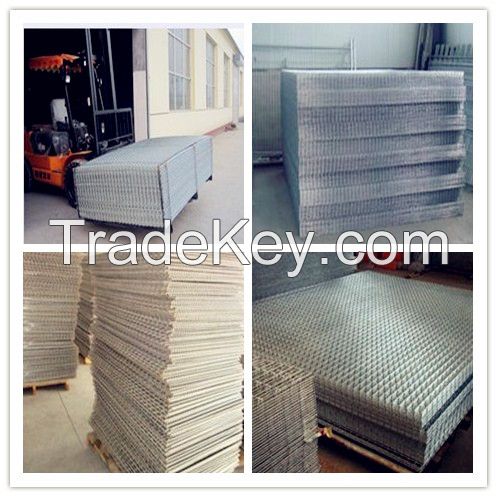 Electric galvanized /PVC coated welded mesh /welded wire mesh