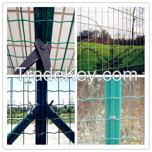 Electrc Galvanized Chain Link Fence(Anping factory)