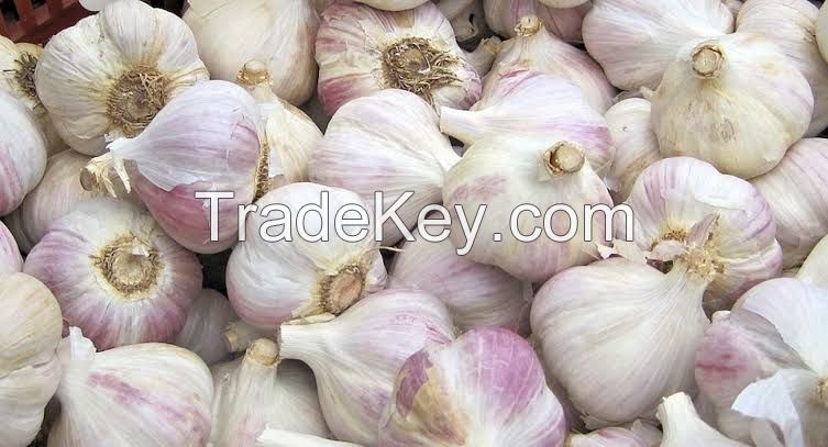 Fresh garlic