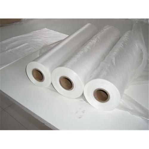 freezer food HDPE bag