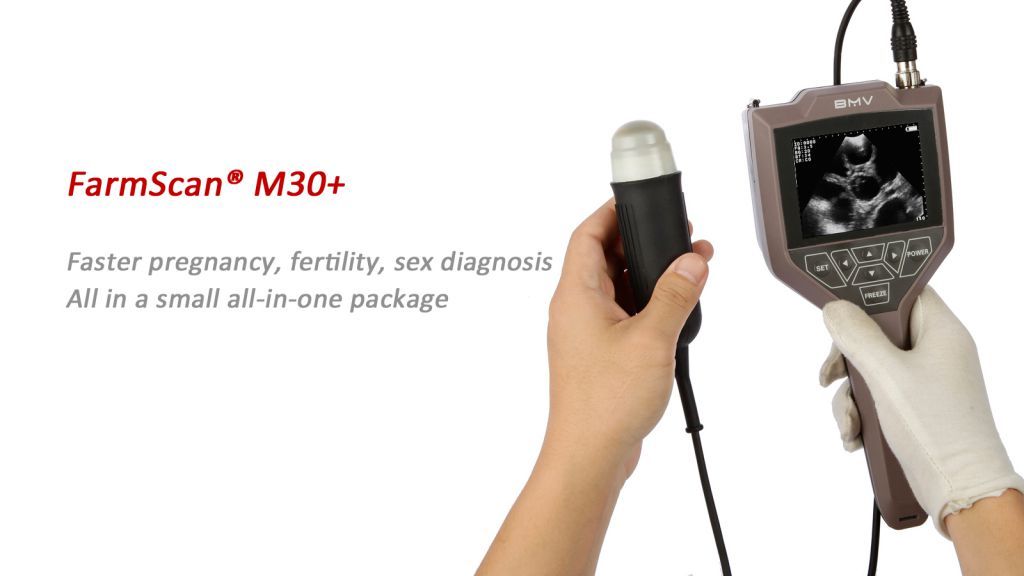 veterinary ultrasound scanner FARMSCAN M30+